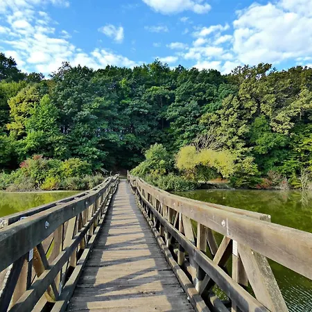 Z8 Premium Apartamento