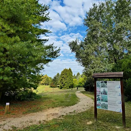 Z8 Premium Apartamento *