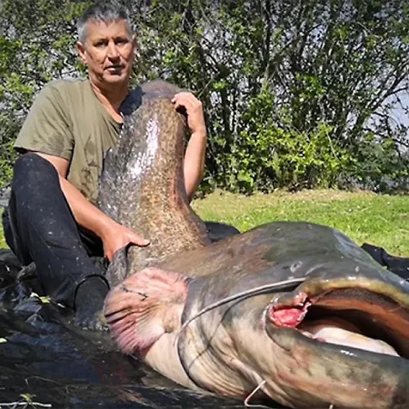 Z8 Premium Kaposvár