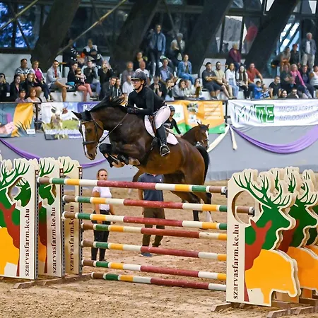 Z8 Premium Apartamento *