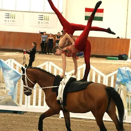 Z8 Premium Apartamento Kaposvár