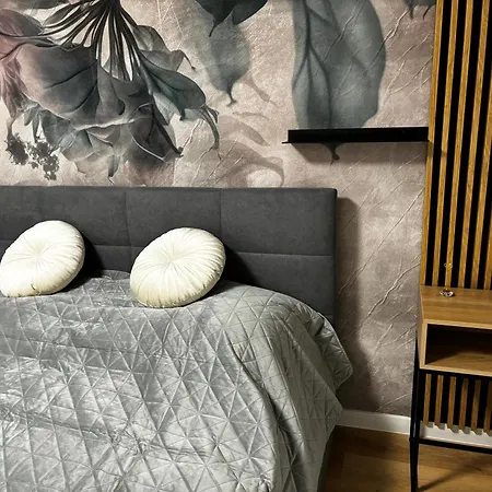 Apartment Z8 Premium Kaposvar