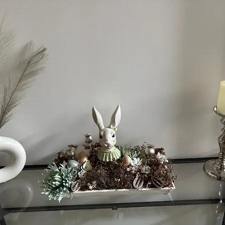 Z8 Premium * Kaposvár