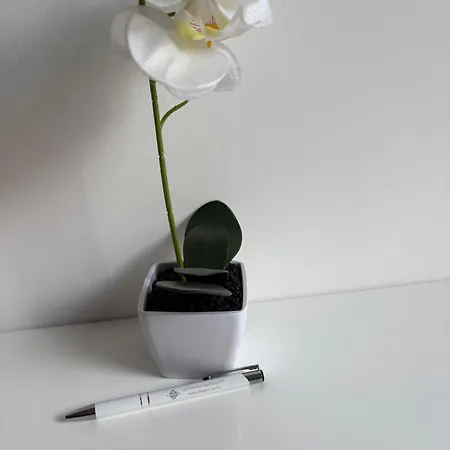 Z8 Premium Apartamento Kaposvár