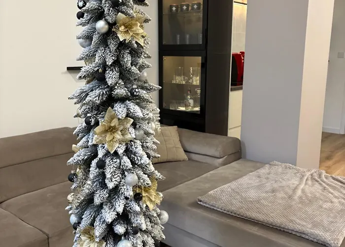 Z8 Premium Apartament Kaposvár